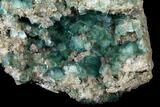 Large, Wide Plate of Green Fluorite Crystals on Quartz - China #128813-3
